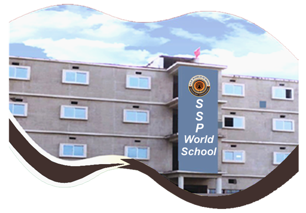 About S.S.P. WORLD